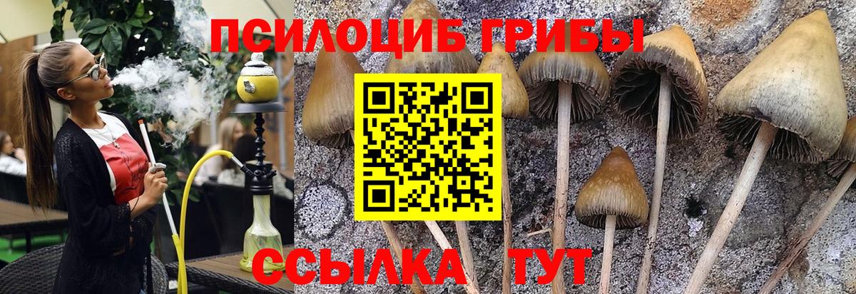 Галлюциногенные грибы Magic Shrooms  Галлюциногенные грибы ЛСД  Вход с VPN  Сунжа 