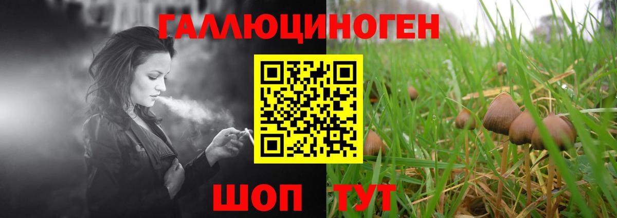 Псилоцибиновые грибы ЛСД Сунжа